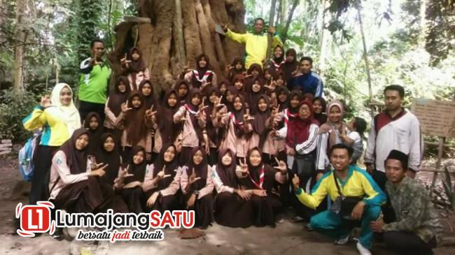 Wisata Edukasi Hutan Betari Durga Kedungmoro Simpan Jenis Pohon Langka