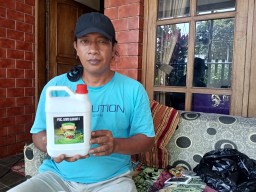 Petani Tukum Buat Pupuk Organik Lumajang Agar Tak Tergantung Pabrikan