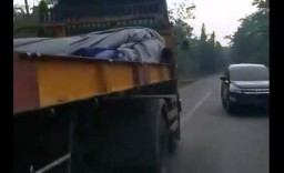 Viral Sopir Truk Trailer Ugal-ugalan Sudah Ditangani Polisi Lumajang