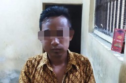 Aris Genjot Istri Orang  Saat Suaminya Sedang Peras Susu Sapi Senduro