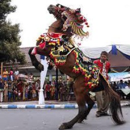 Bupati Lumajang Senang dapat Kabar Jaran Kencak Segera Jadi Intangible Cultural Heritage