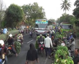 Tak Ada Truk Pasir, Pengguna Lalin Lumajang-Probolinggo Gembira