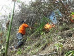 Meski Medan Terjal, Petugas Gabungan Nekat Padamkan Titik Api