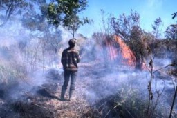 Hutan Dijalur Watu Rejeng Terbakar, TNBTS Tutup Total Pendakian Gunung Semeru