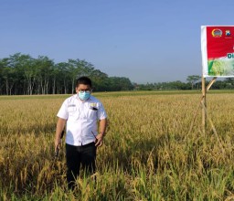 Kadin Lumajang Banyak Dapat Keluhan Penerapan PPKM Darurat