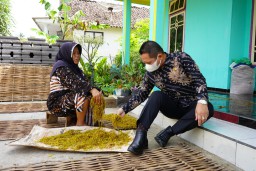 Industri Rokok Berizin Dorong Produktivitas Petani Tembakau Lumajang