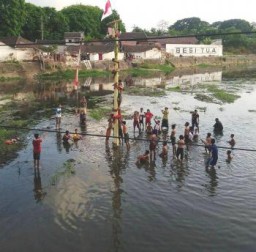 Meriah Coy..!! Peringati HUT RI ke-70 Warga Rogotrunan Gelar Panjat Pohon Pisang