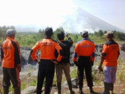 Lereng Gunung Semeru Masih Membara, Ratusan Tumbuhan Langka Hangus