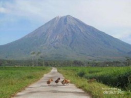 Inilah Alasan Gunung Semeru Ada di Lumajang, Sering Dikunjung Cendikiawan Sejak Zaman Purba