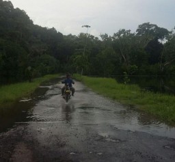 Banjir Air Rob, Muara Kembar Meluap dan Nyaris Putus Jalur Pasirian-Tempursari