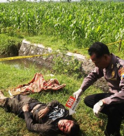 Seorang Kakek Tewas di Saluran Irigasi Sawah Desa Wonokerto