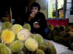 Ingin Nikmati Durian Bergaransi, Ayo Merapat Kejalan Sunandar Priyo Sudarmo Sukodono