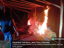 Polisi Bakar Arena Sabung Ayam di Desa  Dawuhan Lor Lumajang