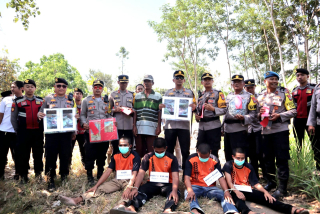 Ini Modus Maling Kerbau Lumajang Jagal Langsung di Lokasi