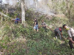 Kebakaran Hutan di Gunung Pucang Ranggah Lumajang Diduga Angin Kencang