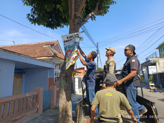 Tim Pacarku Cabut Banyak Paku Menancap di Pohon Kakija Lumajang