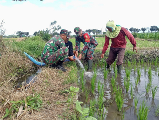 Petani Lumajang Mulai Siasati Kekeringan Lahan Gunakan Sistem Pipanisasi