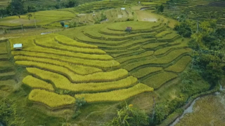 Petani Lumajang Harus Mulai Gunakan Teknologi Pertanian Modern