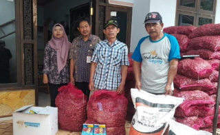 Kawasan Pertanian Bawang Merah di Lumajang Terus Diperluas Lewat Intervensi DBHCHT