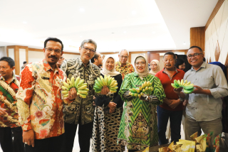 Miliki Cita Rasa Unik, Pisang Mas Kirana Lumajang Terus Dipasarkan ke Nasional dan Internasional