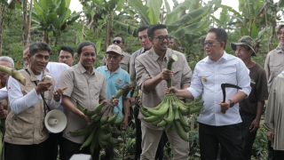 Hasil Bumi Perhutanan Sosial Lumajang Dukung Program Makan Bergizi Gratis