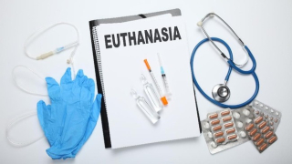 Euthanasia dan Perawatan Paliatif, Dilema Etik Antara Hak Hidup dan Hak Untuk Mengakhiri Penderitaan