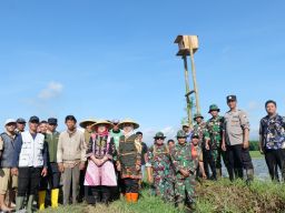 Pasang Rumah Burung Hantu, Pemkab Lumajang Tekan Hama Tikus