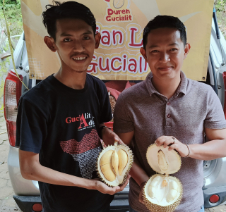 Durian Kembang Lumajang Lokal Premium Banyak Diburu Meski Harganya Mahal