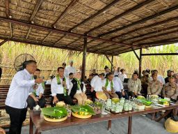 Menteri Pertanian Tinjau Kebun Tebu P240T di Lumajang, Dorong Swasembada Gula dan Ketahanan Energi