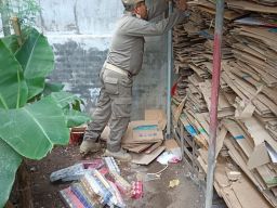 Memburu Rokok Tanpa Cukai, Operasi Senyap Satpol PP Lumajang