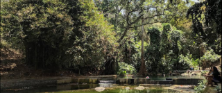 Bendungan Sumber Pakel, Wisata Air yang Menyejukkan di Tengah Kota Lumajang