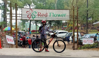 Bukit Red Flower, Hamparan Bunga Merah yang Memikat di Puspo Pasuruan