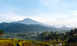 Gunung Sawur, Destinasi Wisata Alam dengan Panorama Indah di Candipuro Lumajang