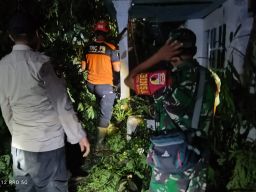 Polisi, TNI, dan BPBD Lumajang Evakuasi Pohon Tumbang Timpa Rumah Warga di Jatiroto