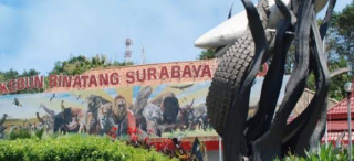 Kebun Binatang Surabaya, Wisata Edukasi dan Konservasi di Tengah Kota Pahlawan