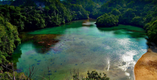 Keindahan Pulau Sempu, Surga Tersembunyi di Ujung Selatan Malang