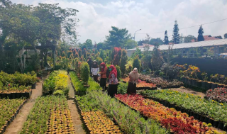 Keindahan Warna-Warni di Wisata Bunga Desa Sidomulyo, Surga Florikultura Kota Batu