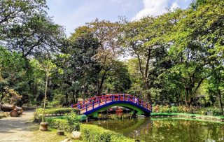 Serunya Berpetualang di Gembira Loka Zoo Yogyakarta