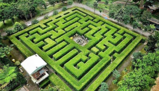 Serunya Tersesat di Labirin Coban Rondo, Wisata Unik di Tengah Sejuknya Pujon Malang