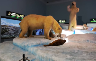 Menjelajah Dunia Satwa di Museum Satwa Batu, Edukasi dan Hiburan Jadi Satu