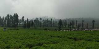 menyapa Awan di Puncak Brakseng, Surga Tersembunyi di Ketinggian Kota Batu