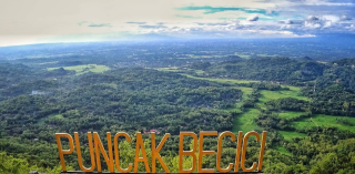 Menyapa Alam dari Ketinggian di Puncak Pinus Becici, Surga Teduh di Bantul Yogyakarta