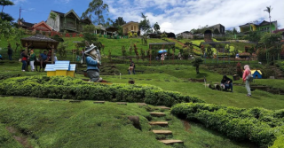 Serunya Bermain di Taman Kelinci Pujon Malang, Wisata Edukasi Ramah Keluarga