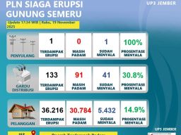PLN Pastikan Listrik Tetap Nyala di Tengah Aktivitas Gunung Semeru