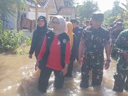 Bunda Indah Terobos Genangan! 776 KK di Sidorejo Terendam Banjir Dua Hari Berturut-turut