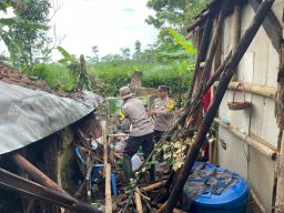 Polres Lumajang Evakuasi Pohon Tumbang di Kecamatan Padang
