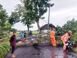Hujan Deras dan Angin Kencang Mengamuk di Rowokangkung, 17 Rumah Rusak dan Listrik Padam