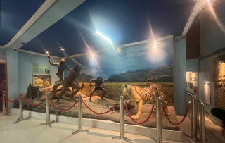 Museum Manusia Purba Sangiran Klaster Dayu Karanganyar, Jendela Masa Lalu yang Edukatif dan Menarik