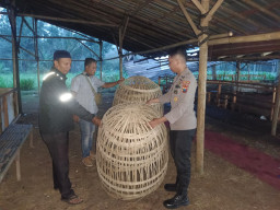 Polsek Randuagung Bongkar Arena Judi Sabung Ayam di Desa Tunjung