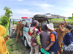 Pemdes Sidorejo Sigap Tangani Kecelakaan Warga di Jalan Usaha Tani